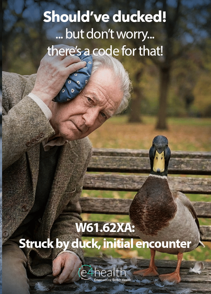 struck by duck